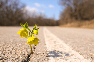 Investing in positive relationships