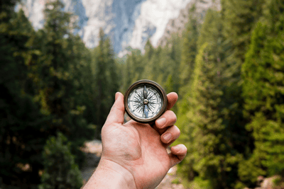 Relationships: Building Trust and Collaboration